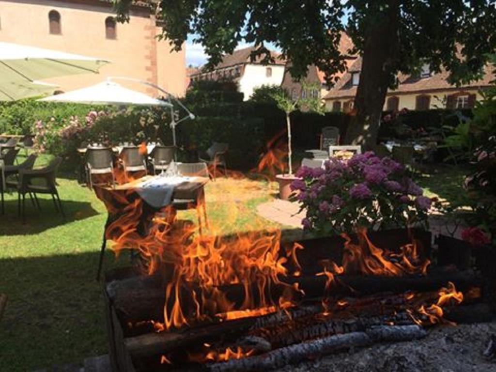 Hotel Du Herrenstein Neuwiller-lès-Saverne Zewnętrze zdjęcie